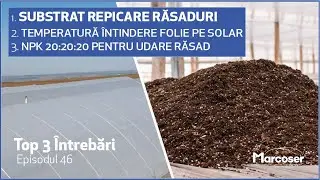 Substrat pentru Repicare | Întindere Folie pe Solar | Îngrășământ NPK la Răsaduri - Top 3 - Ep.46