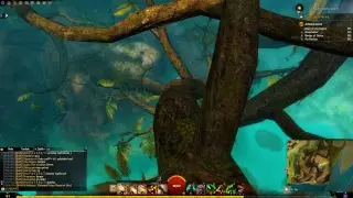Guild Wars 2 Newb Play