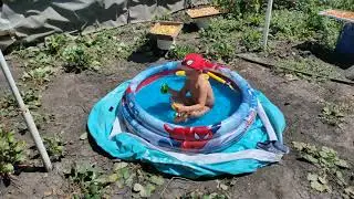 На даче в бассейне
