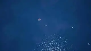 Fortnite event