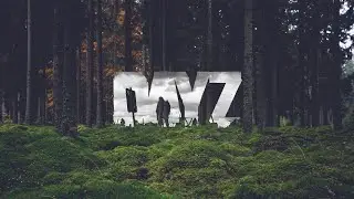 Dayz - the frozen  wall стрим (co-op)