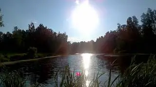 Футаж для видео монтажа (Природа, водоем, закат) [Footage for video editing (Nature, pond, sunset)]