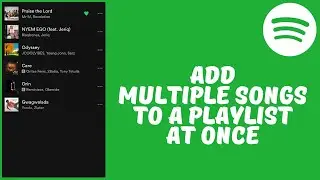 How to Add Multiple Songs to A Playlist On Spotify At Once