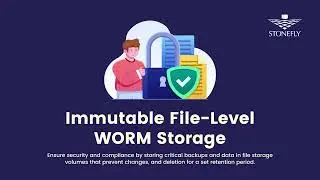 Ransomware Protection Suite in StoneFly Solutions | Demo
