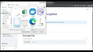 AES Encryption Web App | Python Cryptography & Information Security | Encrypt Text and Files