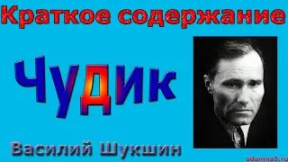 Краткое содержание Чудик, Шукшин
