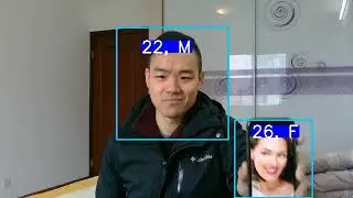 Real time gender age prediction Webcam