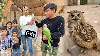 Subscribers Ny Biggest Owl Gift Da Dea 🎁