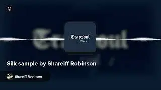 Silk sample by Shareiff Robinson