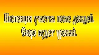 Инспекция участка 16 августа 2020.