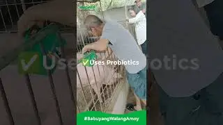 Feedpro Natural Hog Feeds