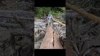Wonderland Trail 2024