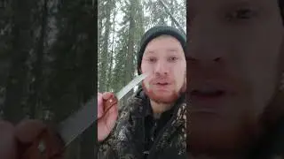 Зачем нужно брать вилку с собой в лес? 