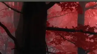 Gabi Udrescu Live Stream