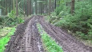Verbote und Paragraphen und deren Realität im Wald