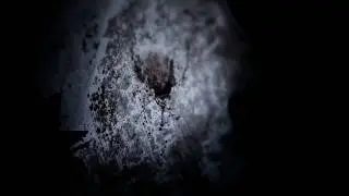 Trailer La Casa Muda HD