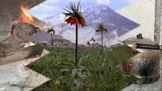 Ayfer Düzdaş Dilberam Dilber