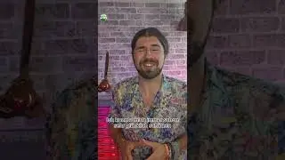 Festivals werden Klima-neutraler!