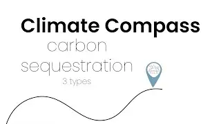 Climate Compass: Carbon Sequestration