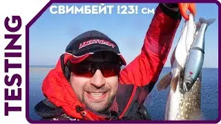 ТЕСТ! Ловля щуки весной на свимбейт Gan Craft Magnum Jointed Claw 230 F