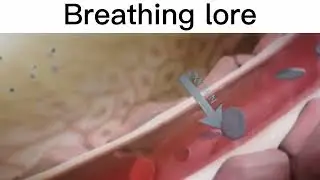 Breathing Lore