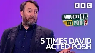 5 Times David Mitchell Comes Across 'Posh'! | Would I Lie to You? Compilation | Would I Lie To You?