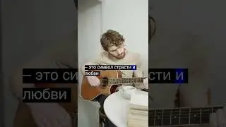 Магия цветов: их значение и символизм