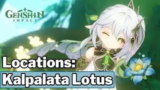 Best Kalpalata Lotus Locations - Genshin Impact