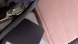 Vogelhaus Livestream