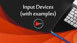Input Devices (Definition, Importance, and Examples)