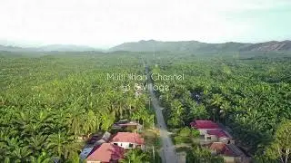 Kampung ditengah Perkebunan Sawit || Dharmasraya