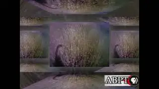 ABPT Bumpers June 31, 2003 Absaroka Public Television