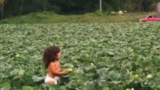 Farms and stuff