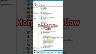 Morpho L1 Not working I Morpho L1 Device problem I Morpho L1 Yallow mark