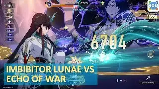 Dan Heng Imbibitor Lunae VS Echo Of War  -  Honkai Star Rail