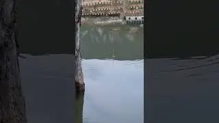#fishing#floatfishing