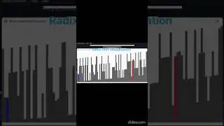 Radix sort visualisation 
