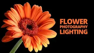 Flower photography lighting - How to take your flower photos to the next level🌼