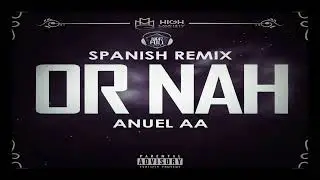 Anuel AA - Nadie Es Intocable (Audio Oficial)