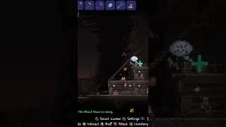Terraria be pranking me | Get fixed boi | Terraria