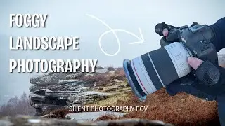 Foggy Nature Walk | Photography POV with Canon R6 MKII + Canon RF 70-200mm F4
