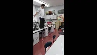 Mass and the Acceleration Due to Gravity