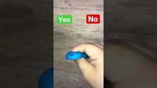 Yes or No 
