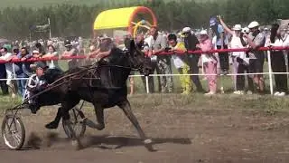 Сабантуй. Зрелище на скачках лошедей