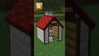 5 NEW Dog Updates