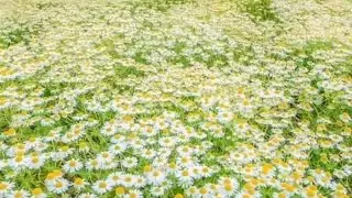 Какие сделать шаги к счастью ❓️