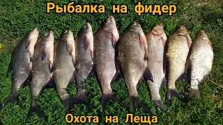 Приехал в 4 утра все места заняты , Рыбалка на фидер на реке Сула, ловля Леща