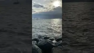 🌊
