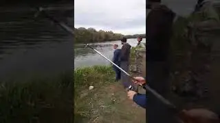 Трофейный карп на трофейную удочку