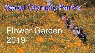 Seoul Olympic Park Flower Garden 2019